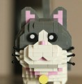 k1.jpg